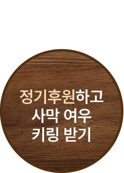 정기후원하고 사막 여우 키링 받기