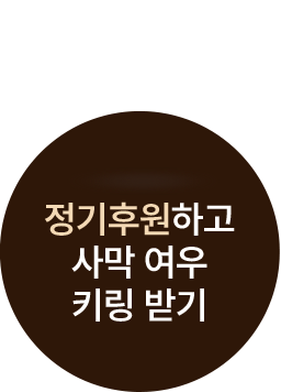 정기후원하고 사막 여우 키링 받기