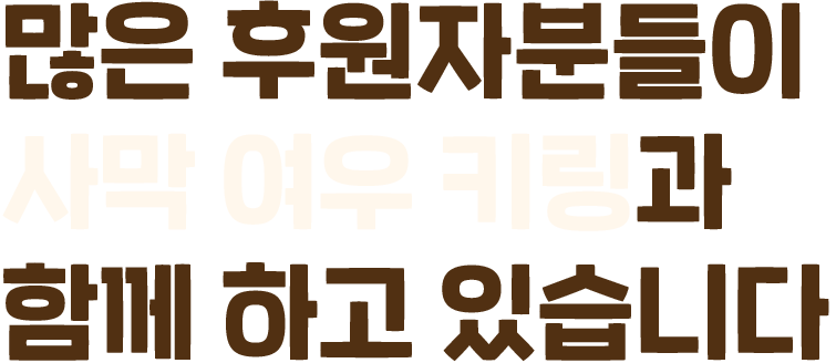 많은 후원자분들이 사막 여우 키링과 함께 하고 있습니다