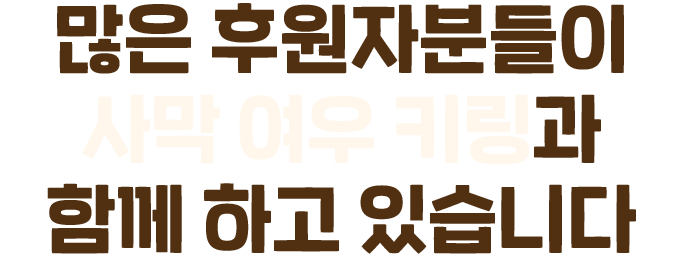 많은 후원자분들이 사막 여우 키링과 함께 하고 있습니다